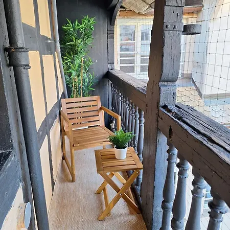 Cigogne Doree - Centre Historique Apartment