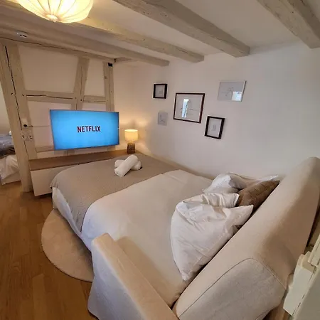 Appartement Cigogne Dorée - Centre Historique Strasbourg