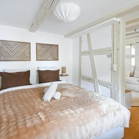 Cigogne Doree - Centre Historique 아파트