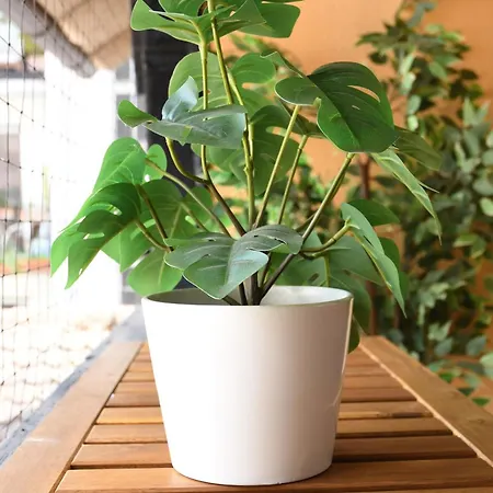 Cigogne Dorée - Centre Historique