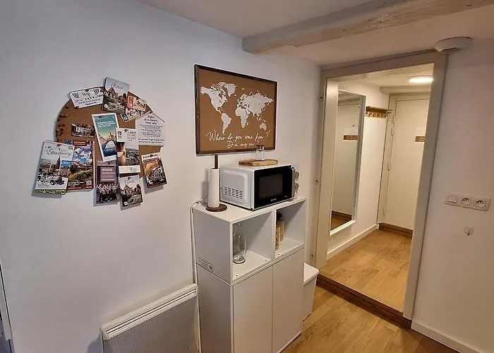 Cigogne Doree - Centre Historique Apartament *