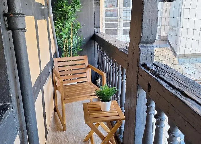 Cigogne Doree - Centre Historique Apartament