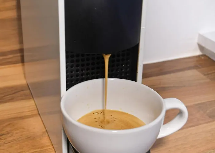 Cigogne Doree - Centre Historique * Strasburg