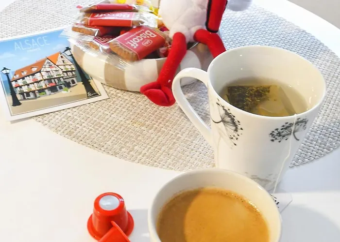 Cigogne Doree - Centre Historique * Strasburg