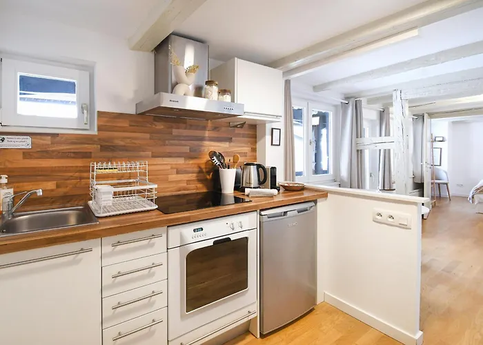 Apartament Cigogne Doree - Centre Historique