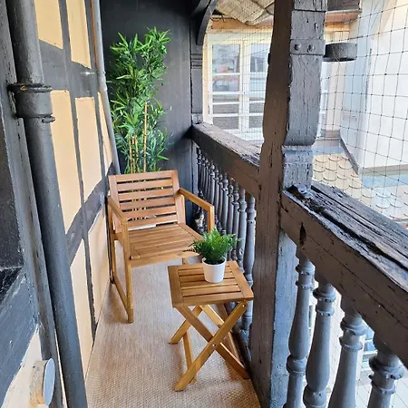 Cigogne Doree - Centre Historique アパート