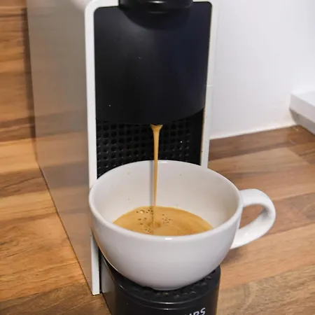 Cigogne Doree - Centre Historique * ストラスブール