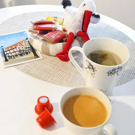 Cigogne Doree - Centre Historique * ストラスブール