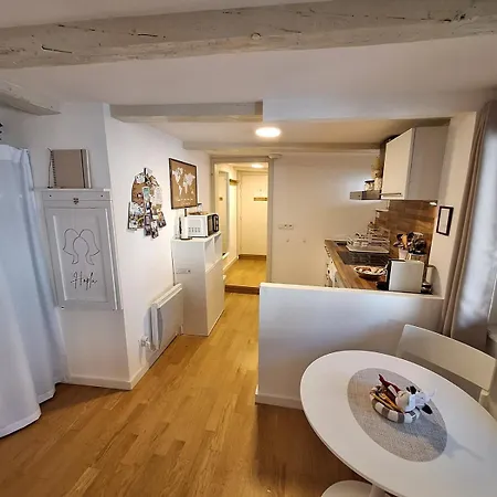 Cigogne Doree - Centre Historique * Страсбург